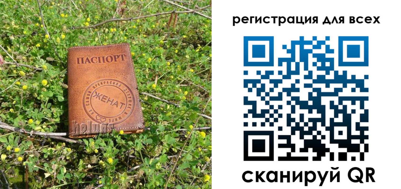 прописка регистрация в Ардоне